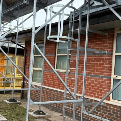 Cat ladder installation
